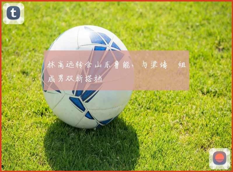 林高远转会山东鲁能,与梁靖崑组成男双新搭档